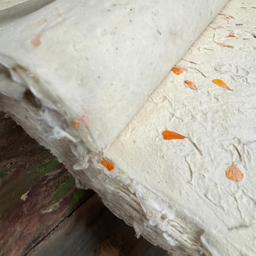 10x Lokta Craft / Wrapping Paper (510x76cm) - Marigold