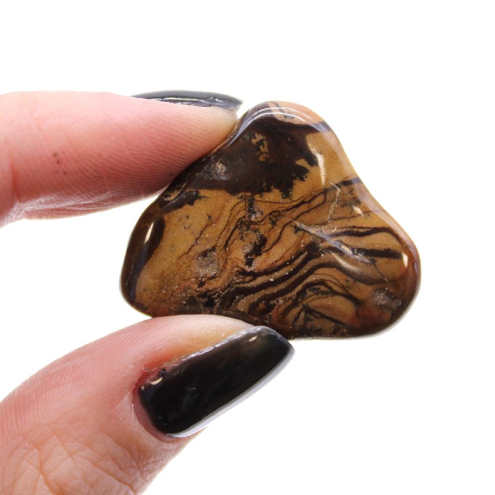12x Medium African Tumble Stone - Picture Nguni