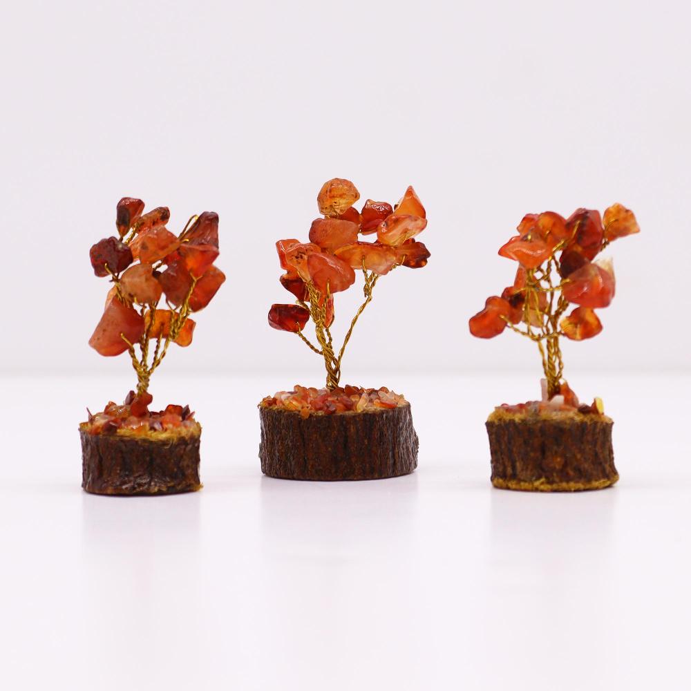 12x Mini Gemstone Trees On Wood Base - Carnelian (15 Stones)