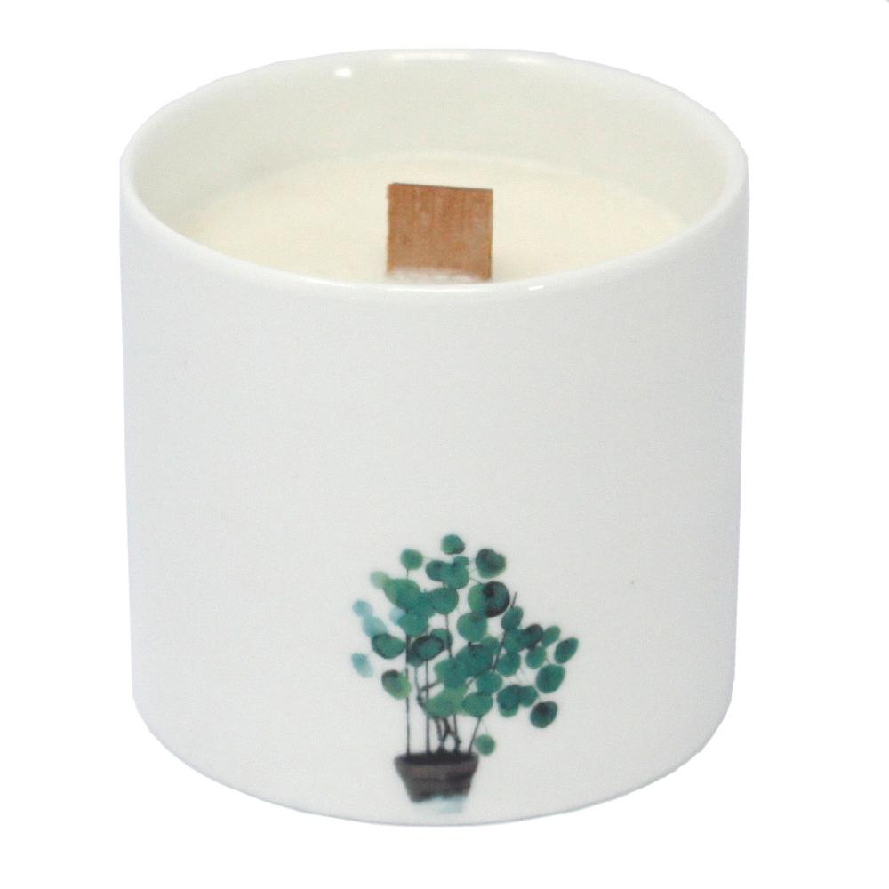 3x Large Botanical Candles - Victorian Peony