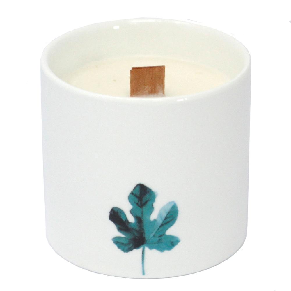 3x Large Botanical Candles - Wild Jasmine