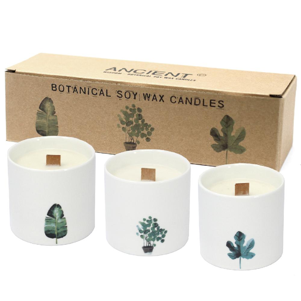 3x Large Botanical Candles - Wild Jasmine