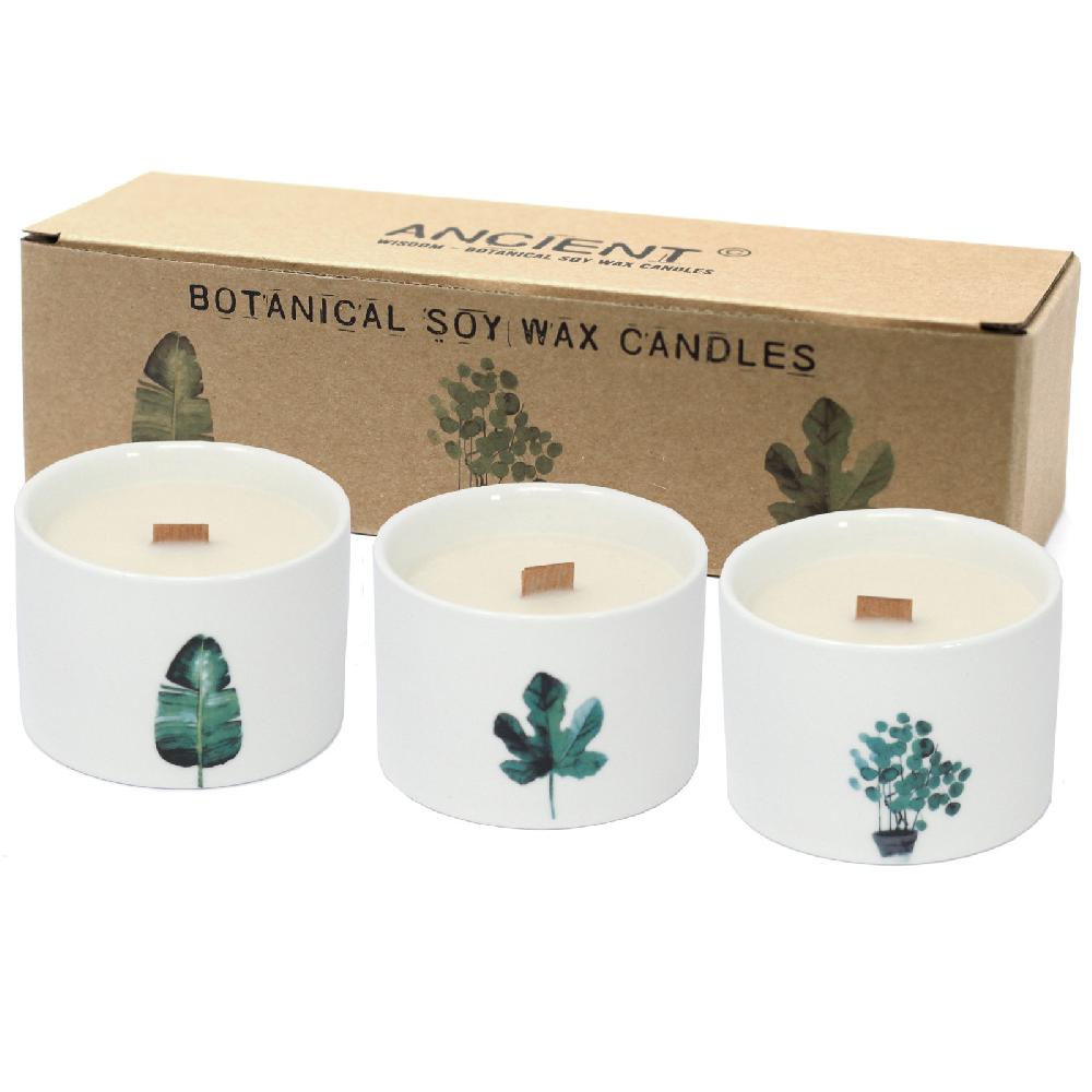 3x Med Botanical Candles - Lemon Honeysuckle