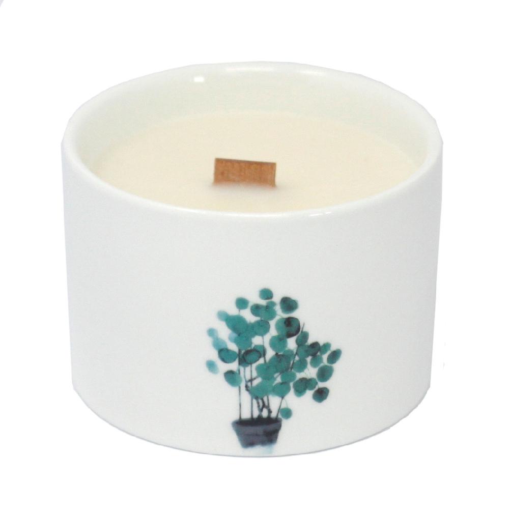 3x Med Botanical Candles - Mullberry Harvest