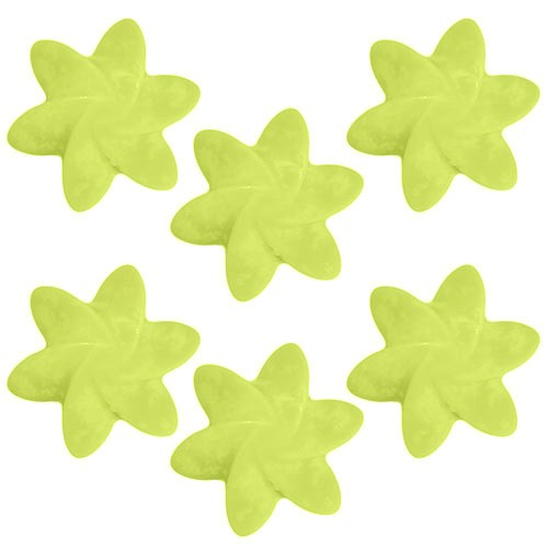 40x Natural Soy Wax Melts -Lemon Harvest