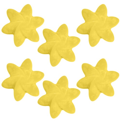 40x Natural Soy Wax Melts -Mango Fruits