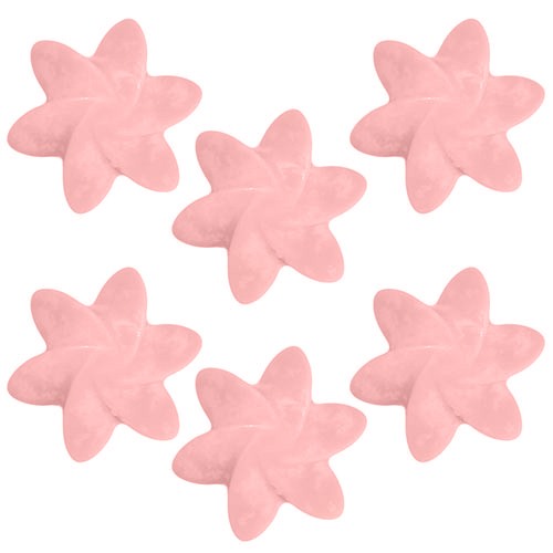 40x Natural Soy Wax Melts -Midnight Jasmine