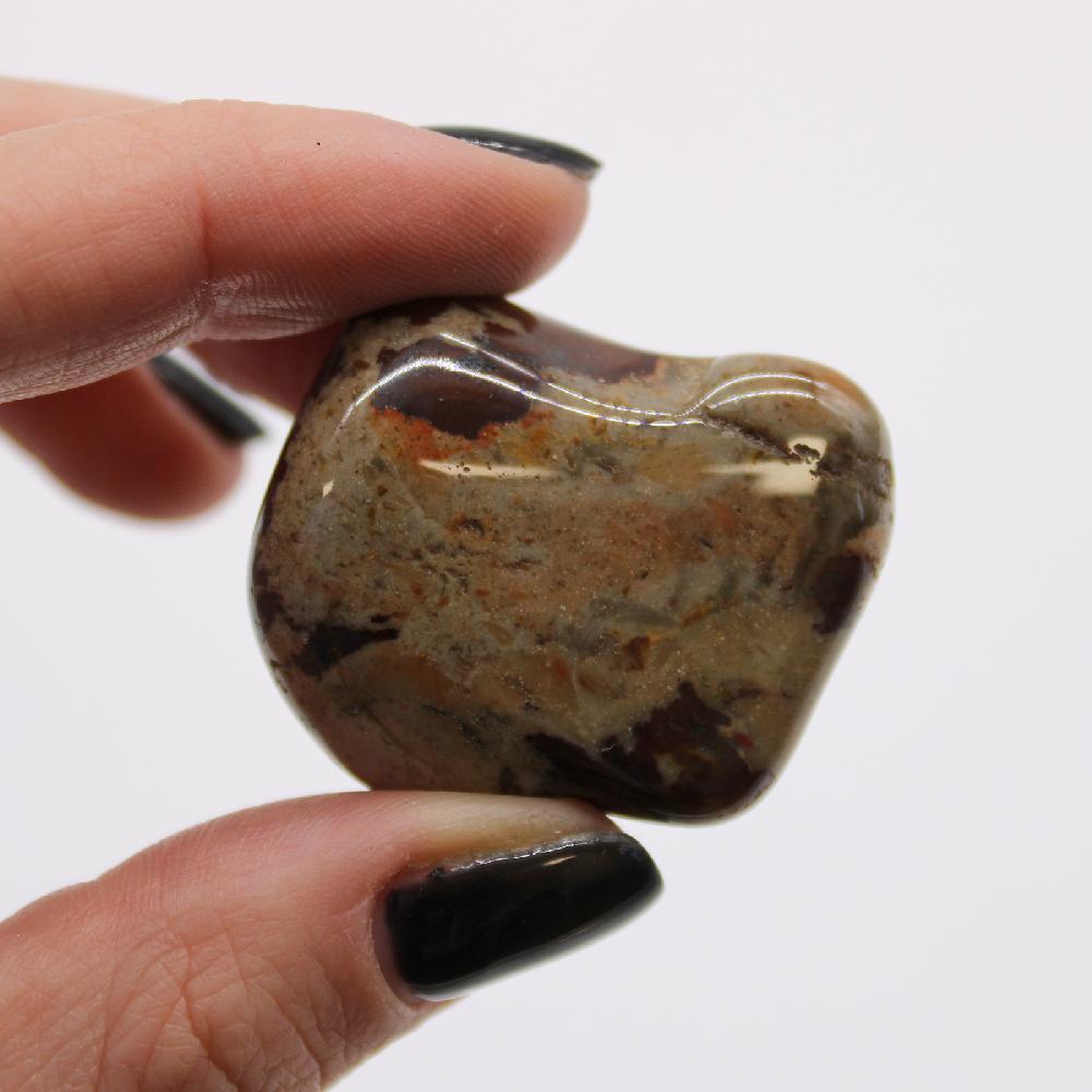 6x Large African Tumble Stone - Jasper Nguni