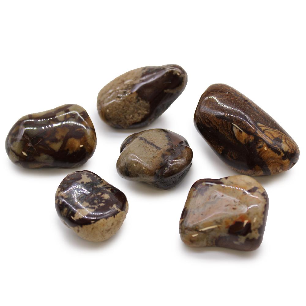 6x Large African Tumble Stone - Jasper Nguni