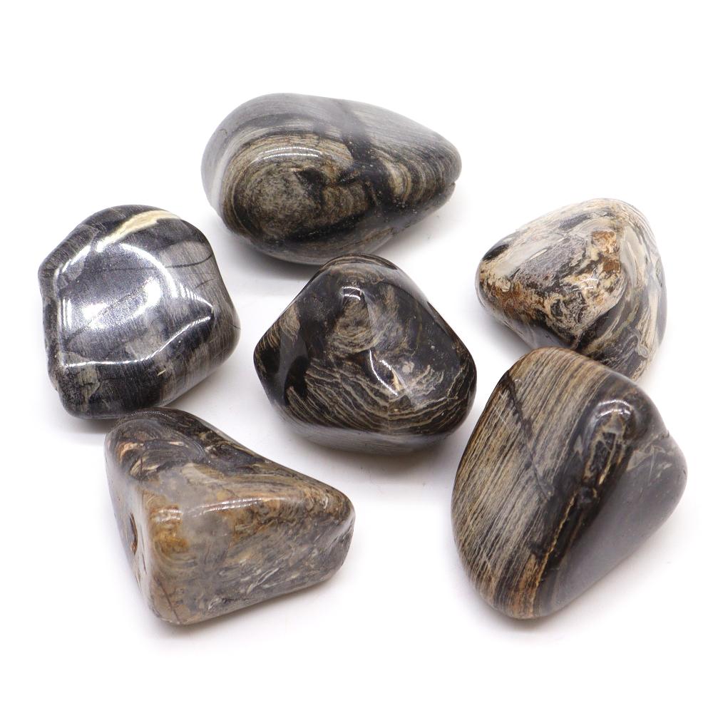 6x Large African Tumble Stone - Jasper Silver Leaf