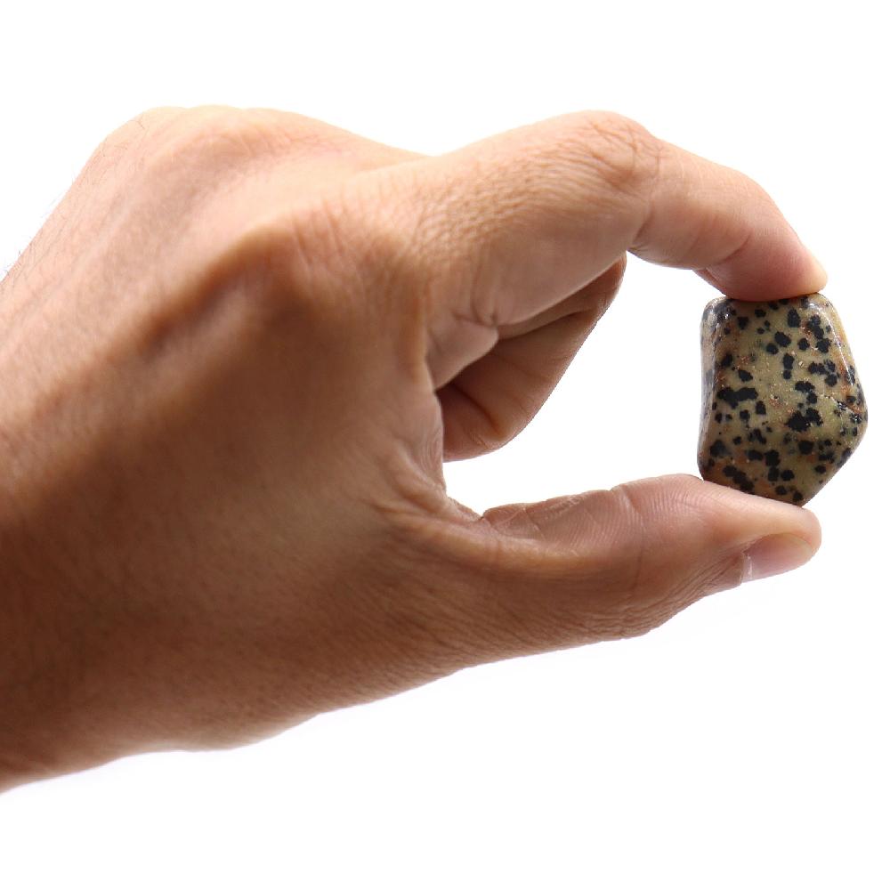 24x L Tumble Stone - Dalmation Stone