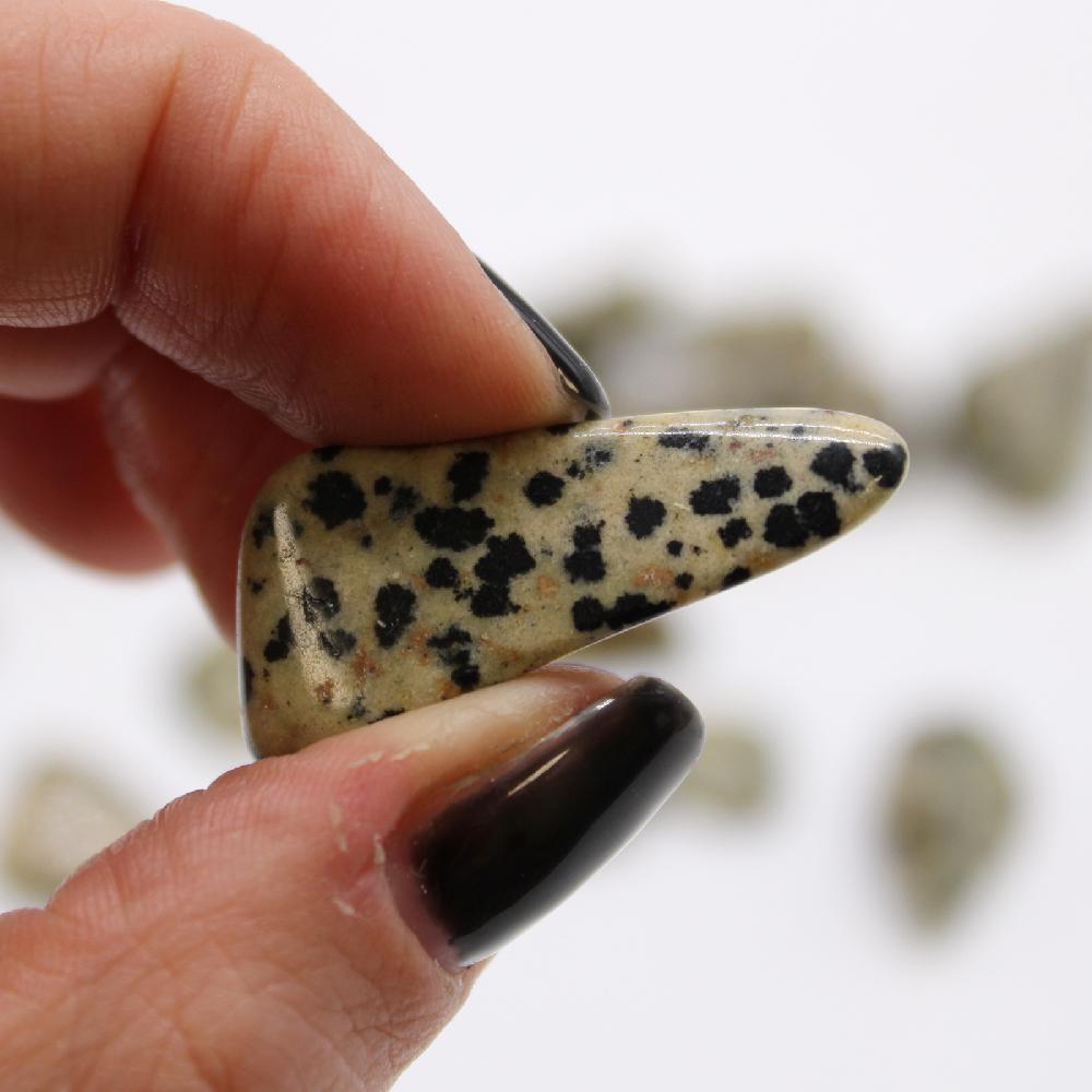 24x M Tumble Stone - Dalmatian Stone