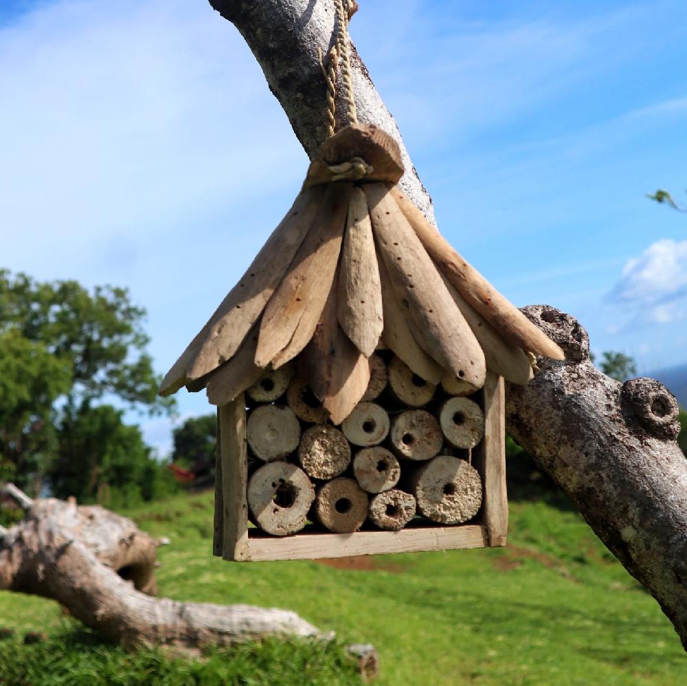2x Driftwood Bee & Insect Box