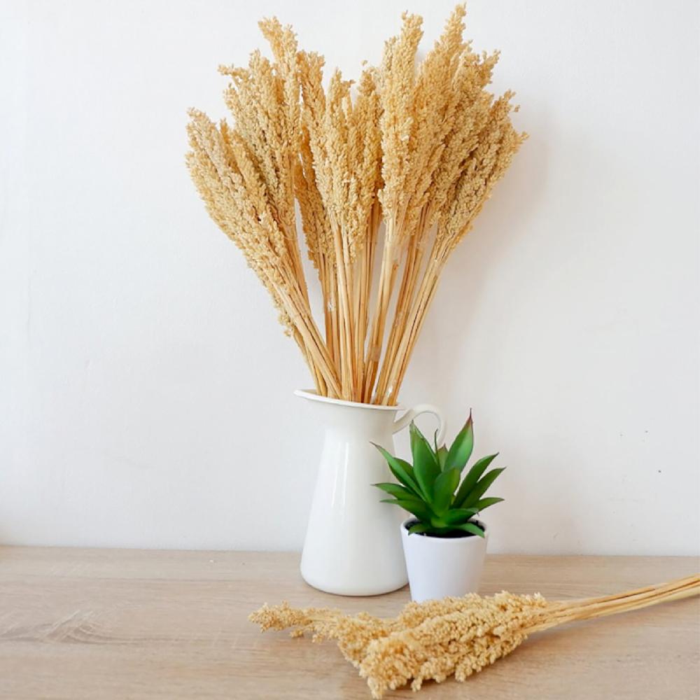 6x Cantal Grass Bunch - Natural