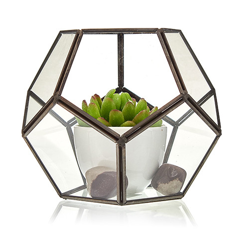 Glass Terrarium - Large Octagon