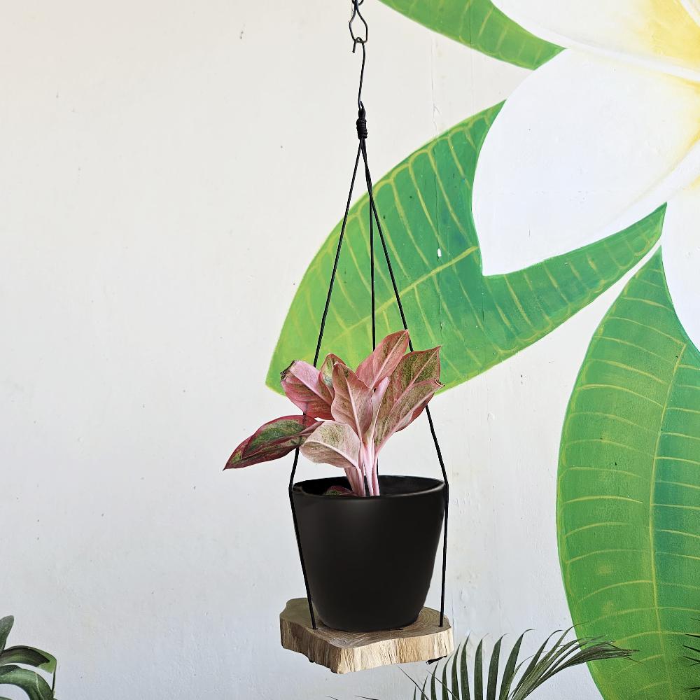 Hanging Gamal Wood Shelf - One Level