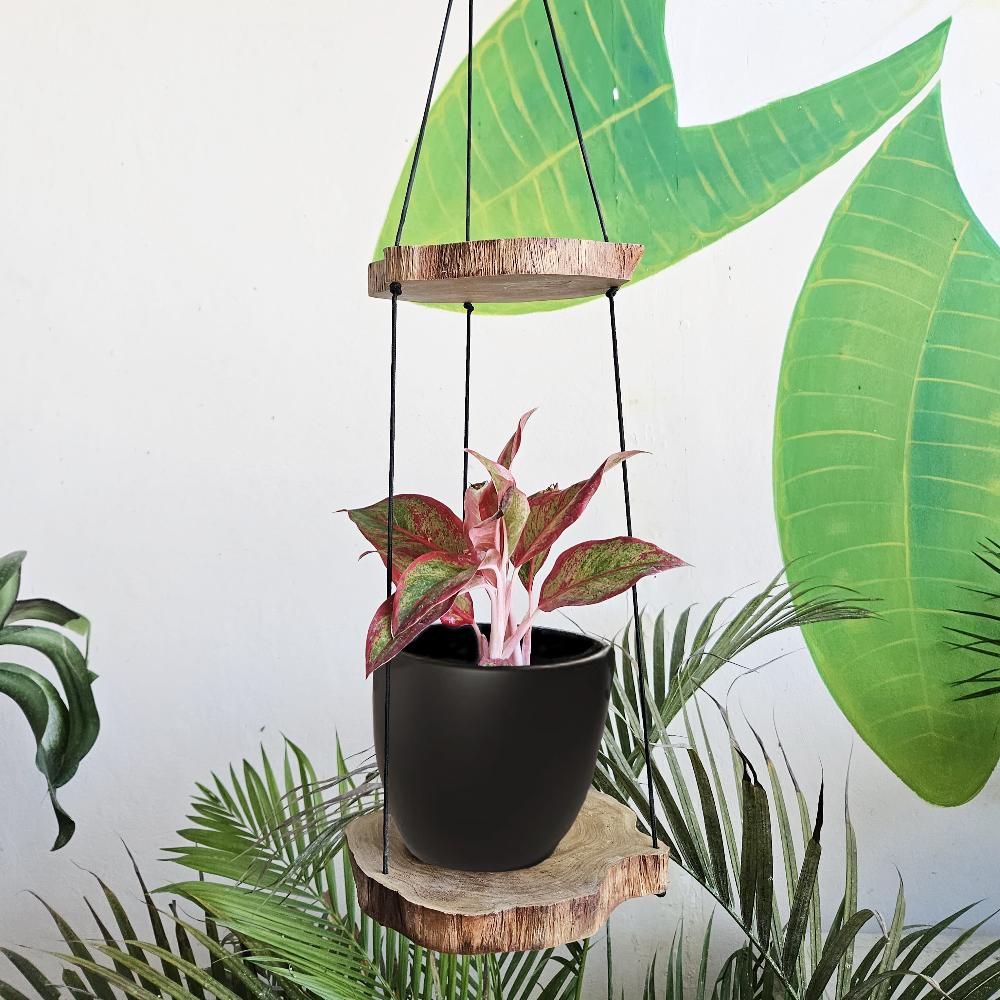 Hanging Gamal Wood Shelf - Two Levels