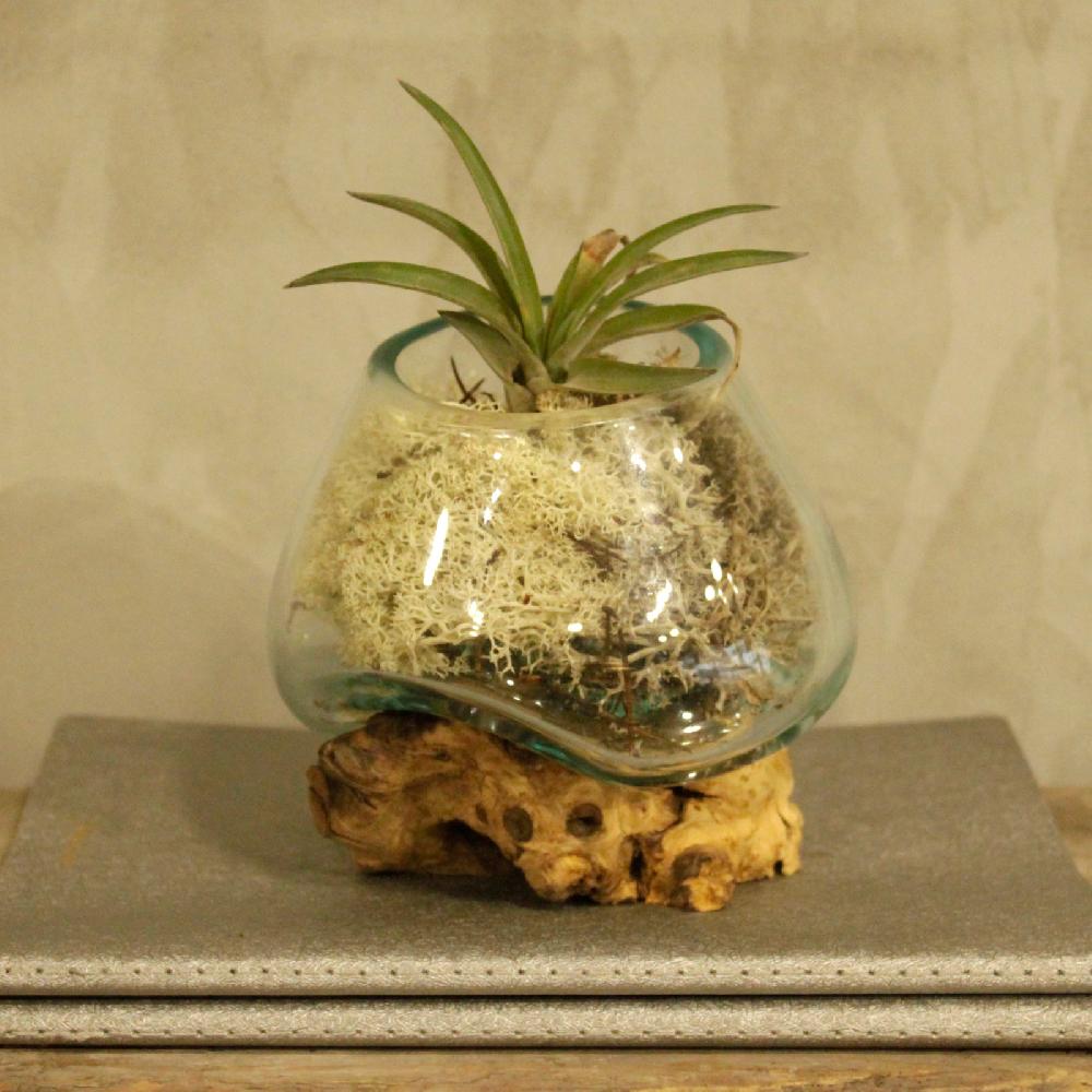 Molten Glass On Wood - Small Bowl