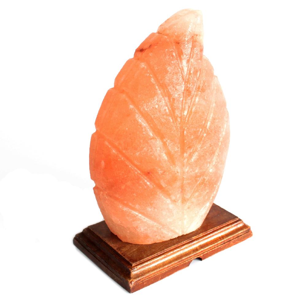 Salt Lamp - UK Plug - Fern Shaped