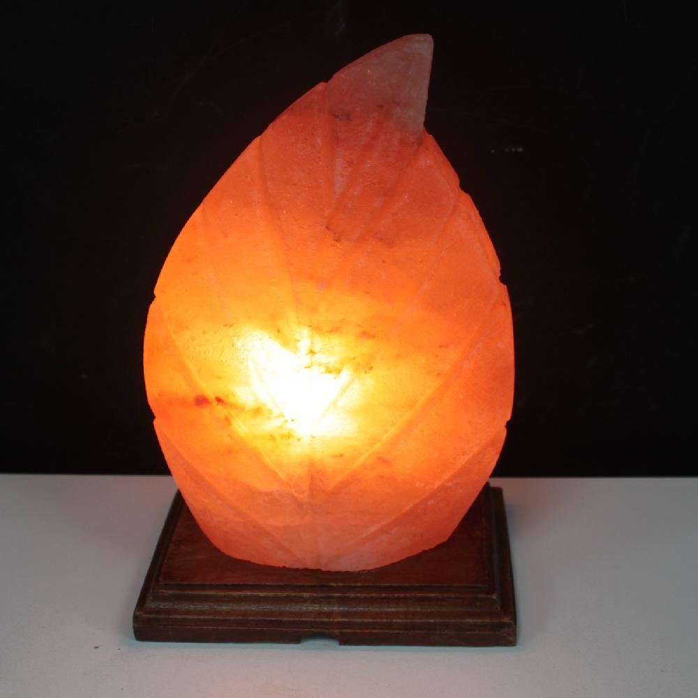 Salt Lamp - UK Plug - Fern Shaped