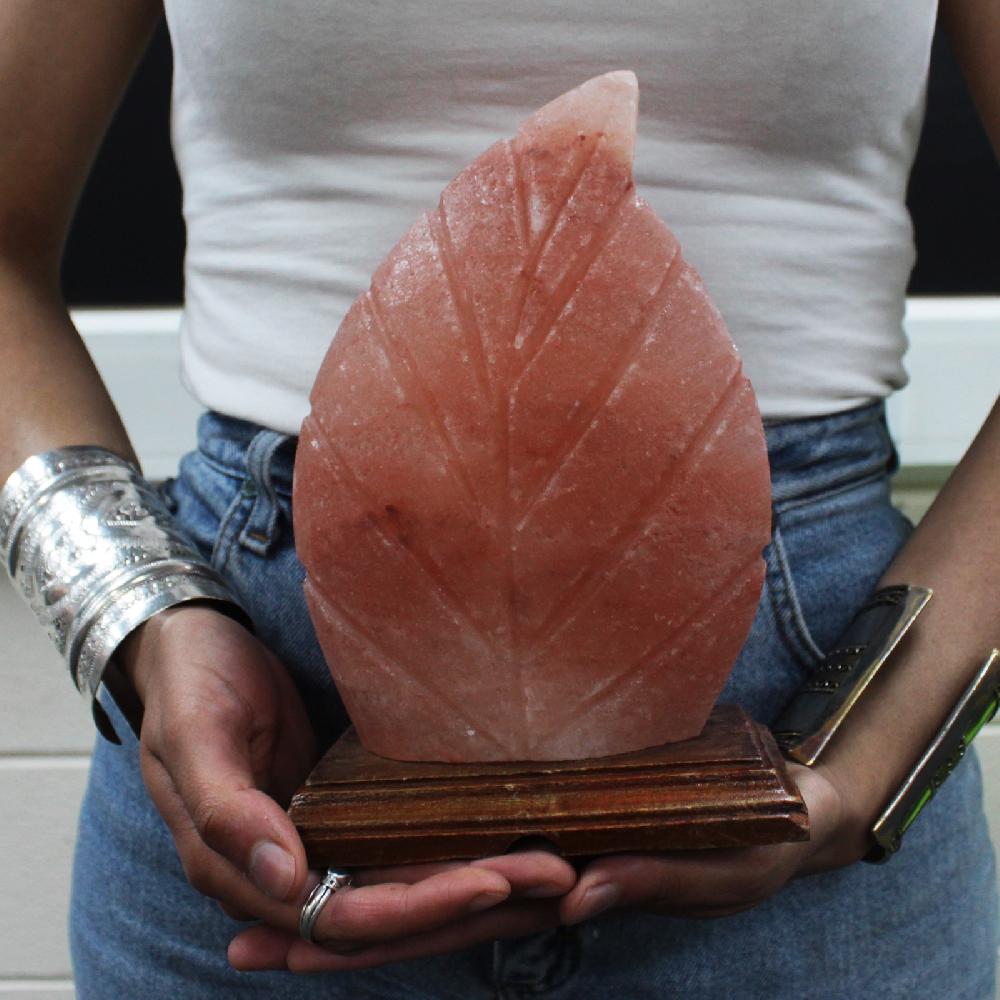 Salt Lamp - UK Plug - Fern Shaped