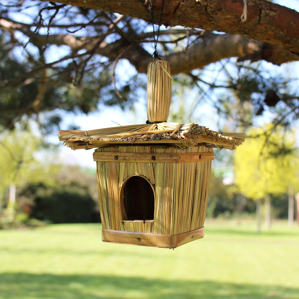 Seagrass Bird Box Discovery Pack