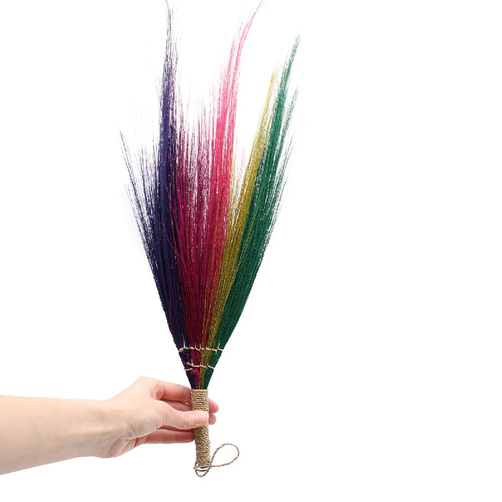 Set 4 - Pampas Broom - Rainbow Colours