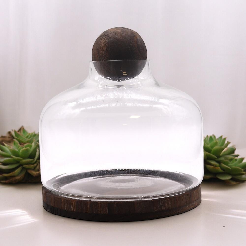 Ex-Large Ball Top Terrarium on Dark Tung Wood - 23x23cm