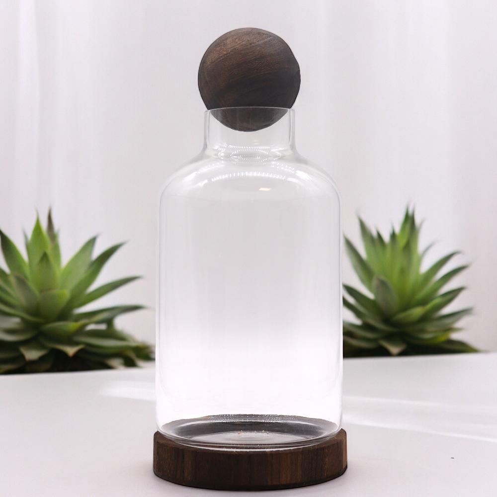 Large Ball Top Terrarium on Dark Tung Wood - 16x32cm