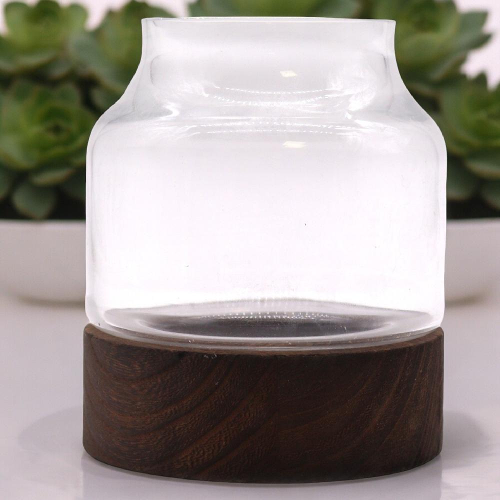 Medium Shaped Terrarium on Dark Tung Wood - 16x18cm