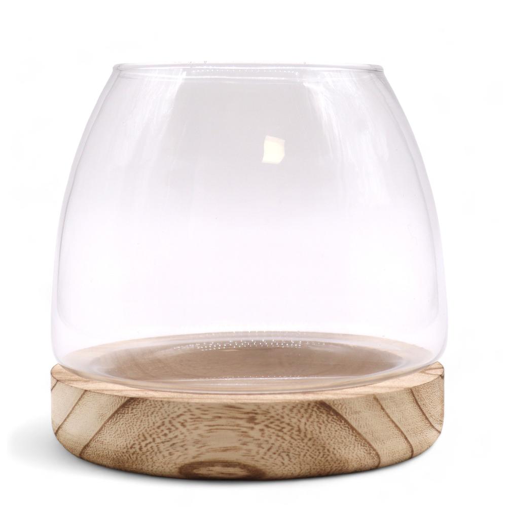 Medium Terrarium On Natural Tung Wood - 15x15cm