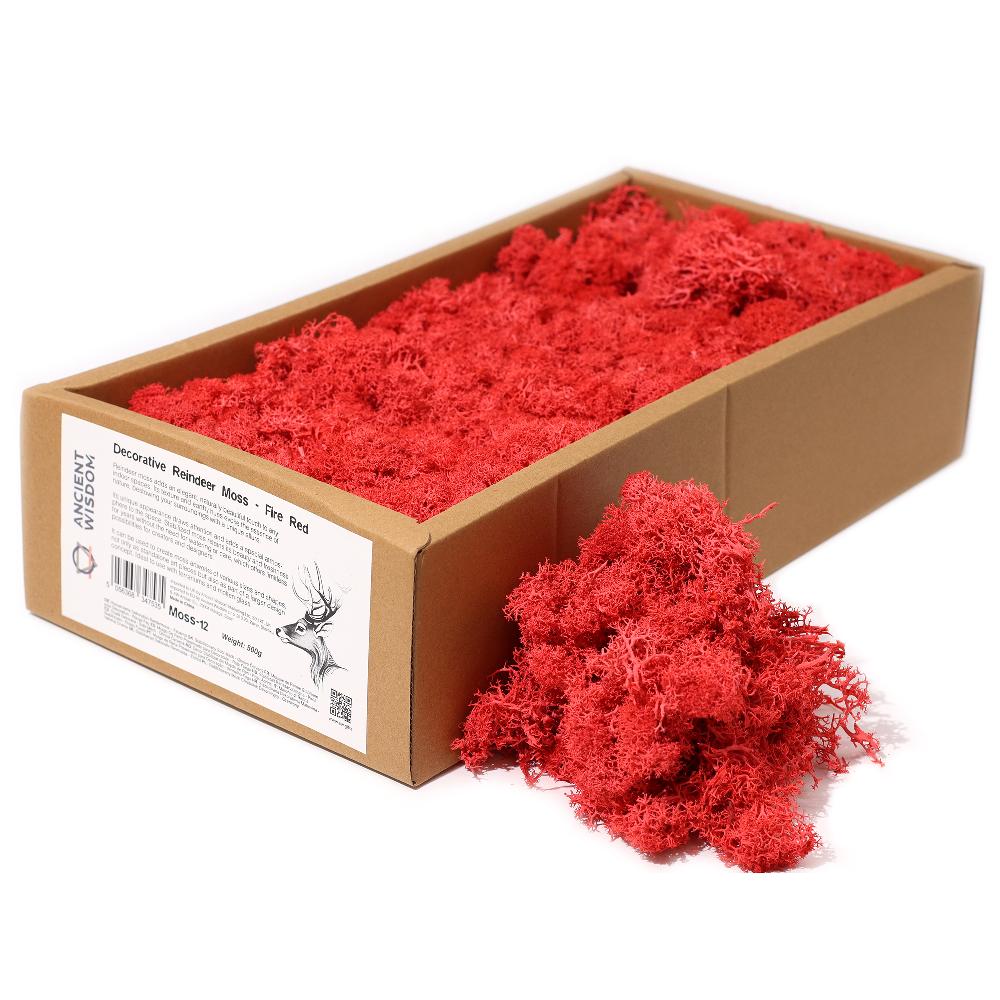 Quality Decorative Reindeer Moss - Fire Red - 635g Box