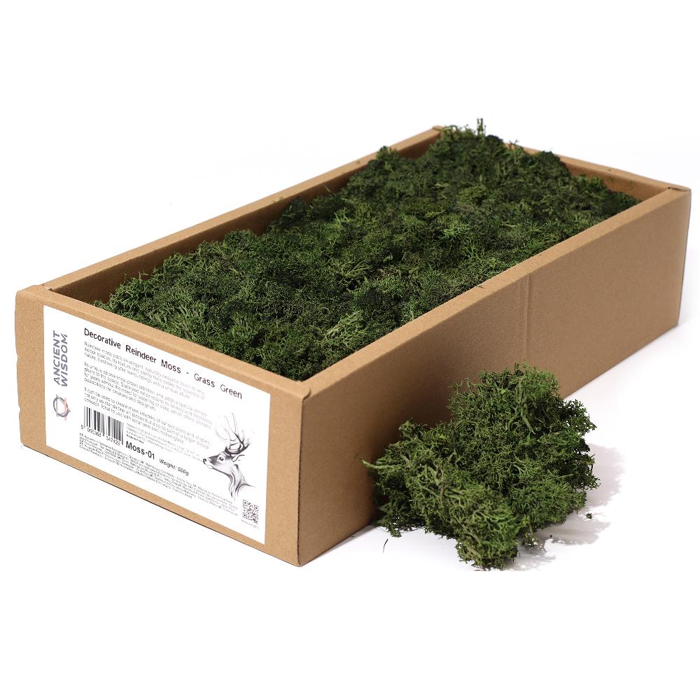 Quality Decorative Reindeer Moss - Grass Green - 635g Box