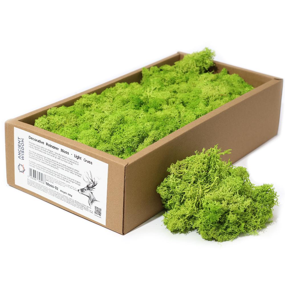 Quality Decorative Reindeer Moss - Light Grass - 635g Box