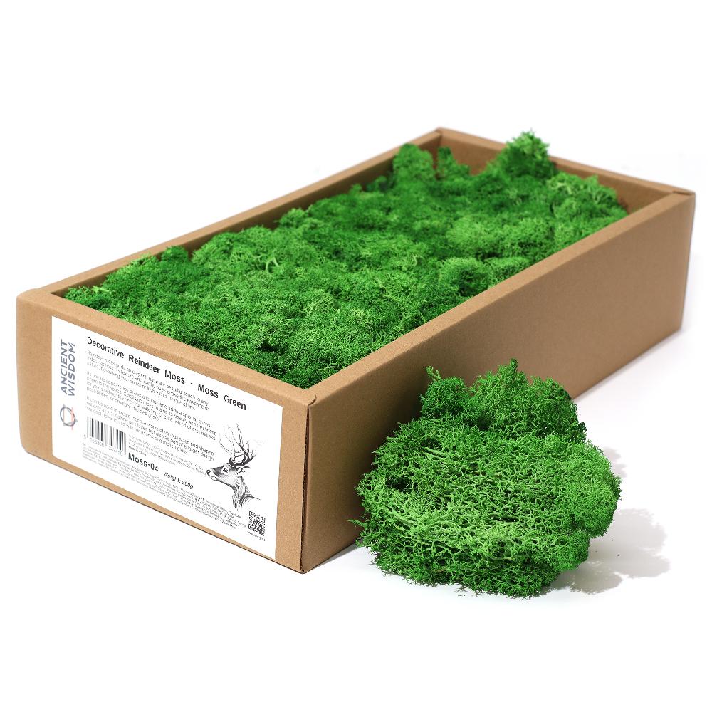 Quality Decorative Reindeer Moss - Moss Green - 635g Box