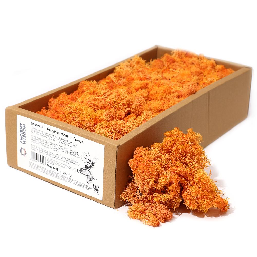 Quality Decorative Reindeer Moss - Orange - 635g Box