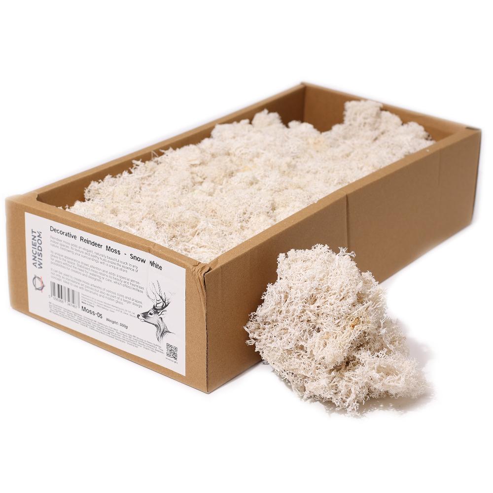 Quality Decorative Reindeer Moss - Snow White - 635g Box