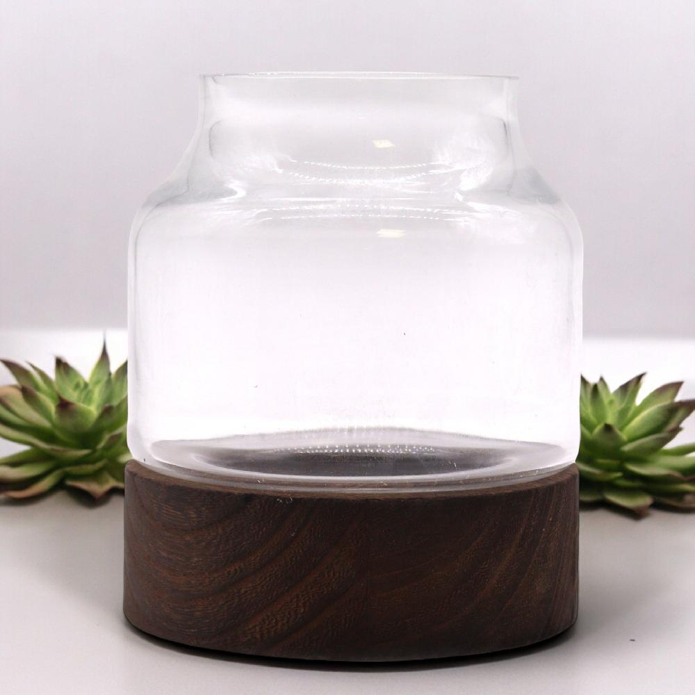 Small Shaped Terrarium on Dark Tung Wood - 12x13cm