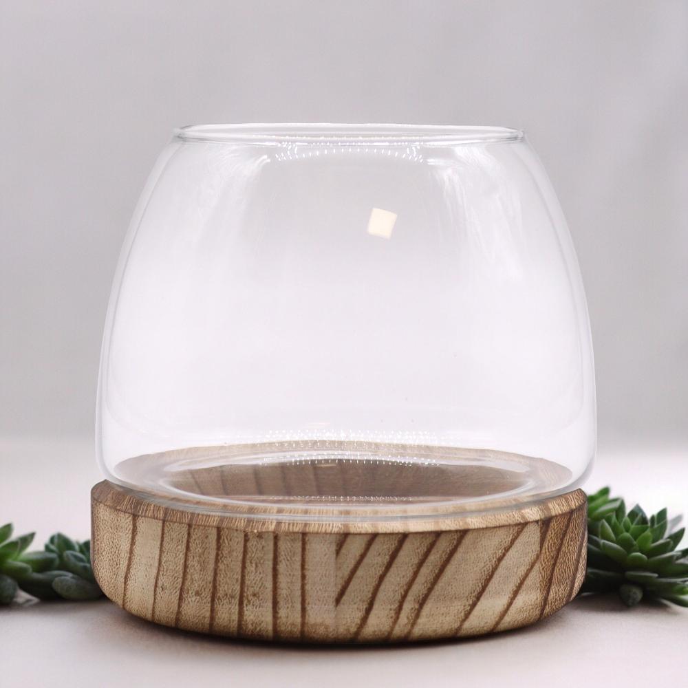 Small Terrarium on Natural Tung Wood - 13x13cm