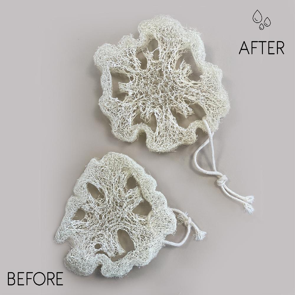 10x Egyptian Luxury Loofah with Cotton String - Non-Compressed - 2cm