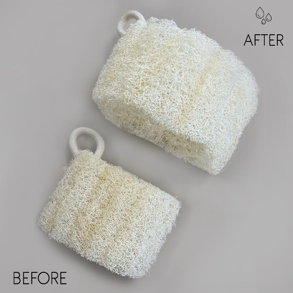 10x Egyptian Luxury Loofah with Cotton String - Non-Compressed - 8-12cm