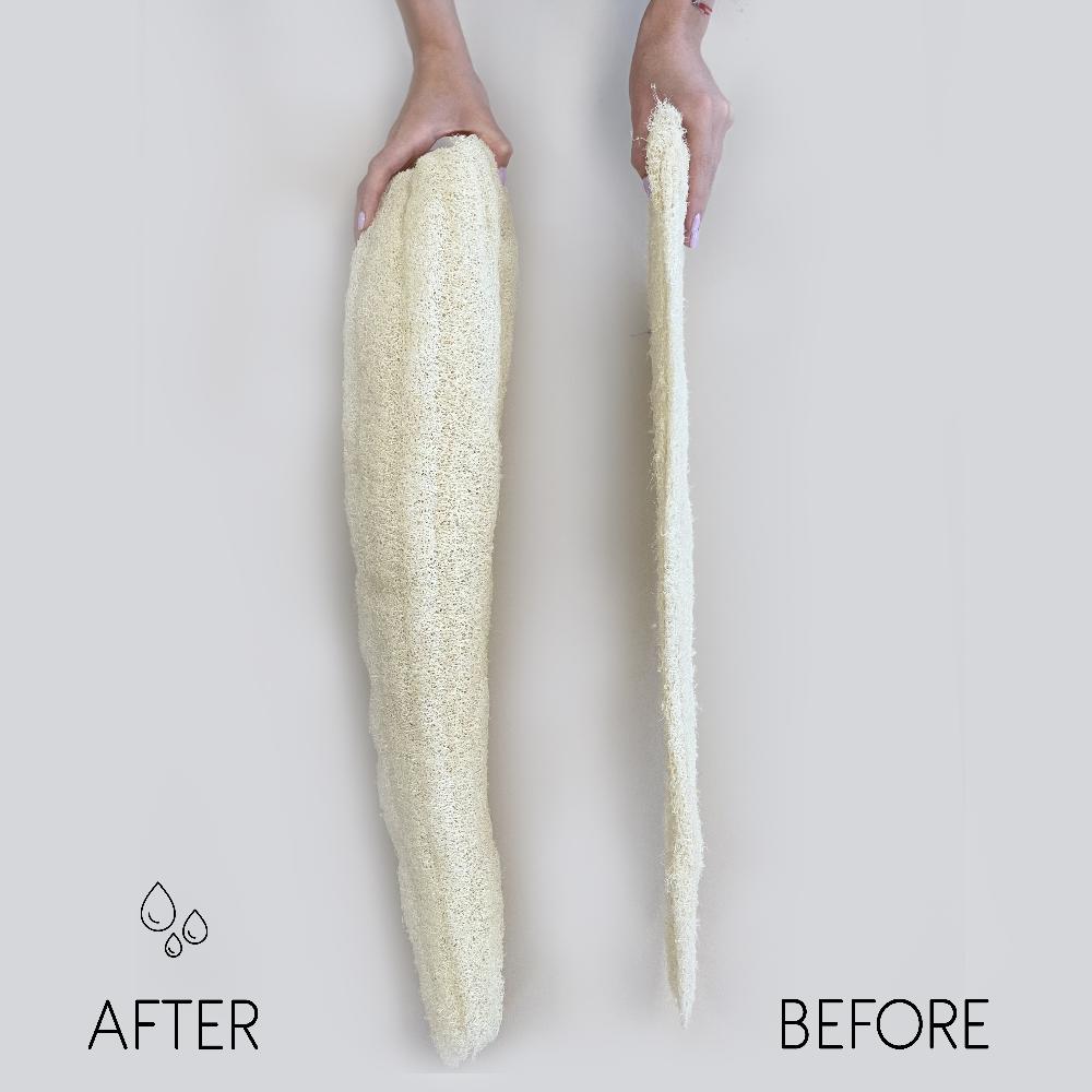 10x Egyptian Luxury Whole Loofah - Compressed - 60cm+