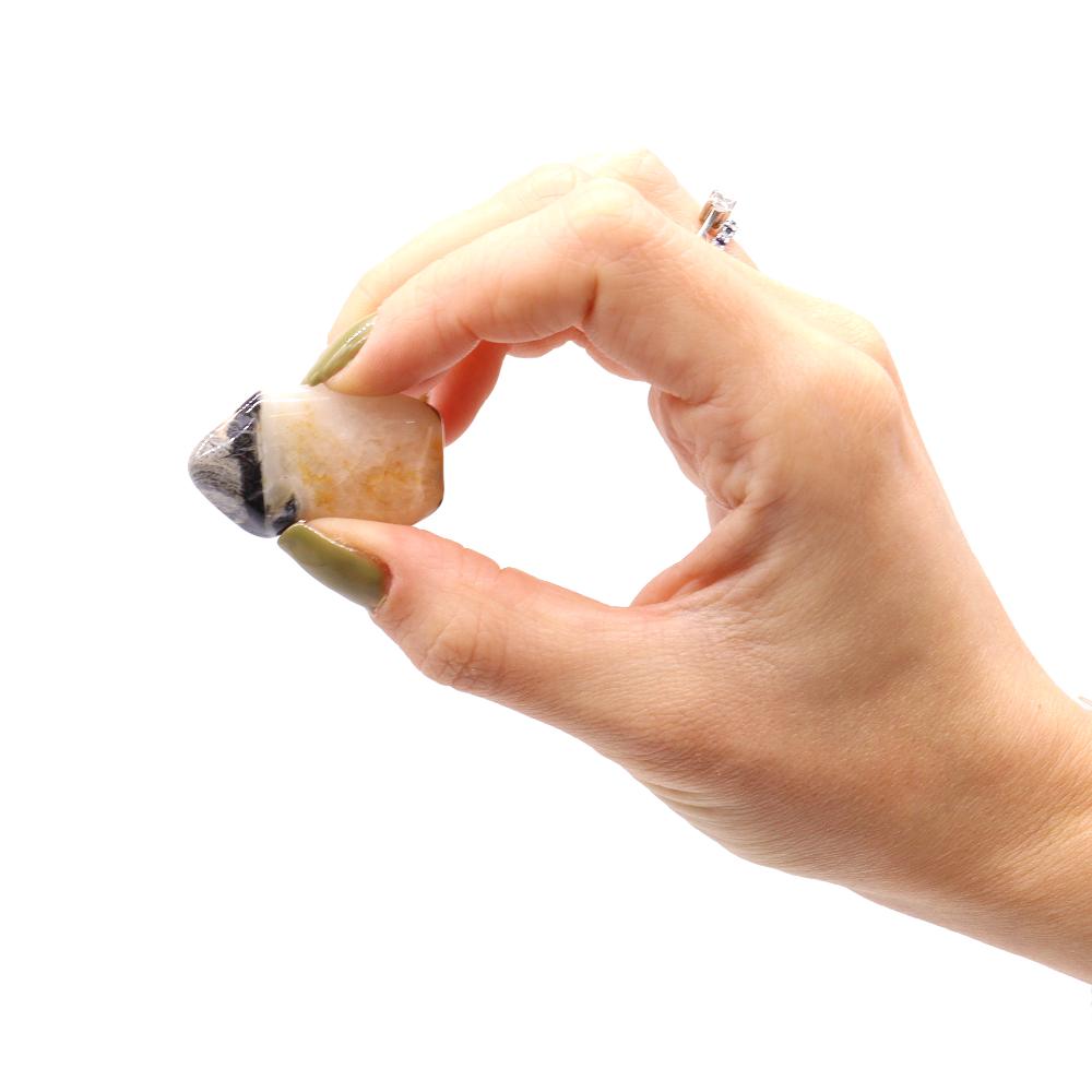 12x Medium African Tumble Stone - Jasper Silver Leaf