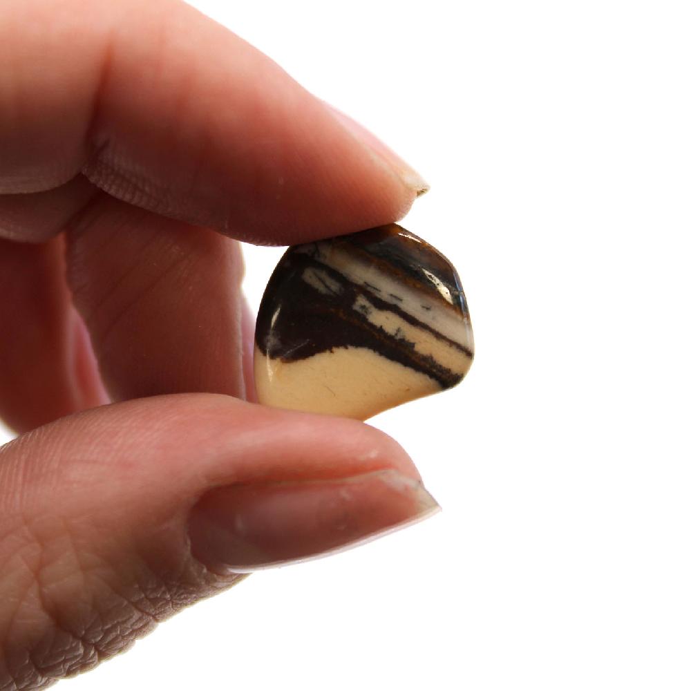 24x Small African Tumble Stone - Picture Nguni