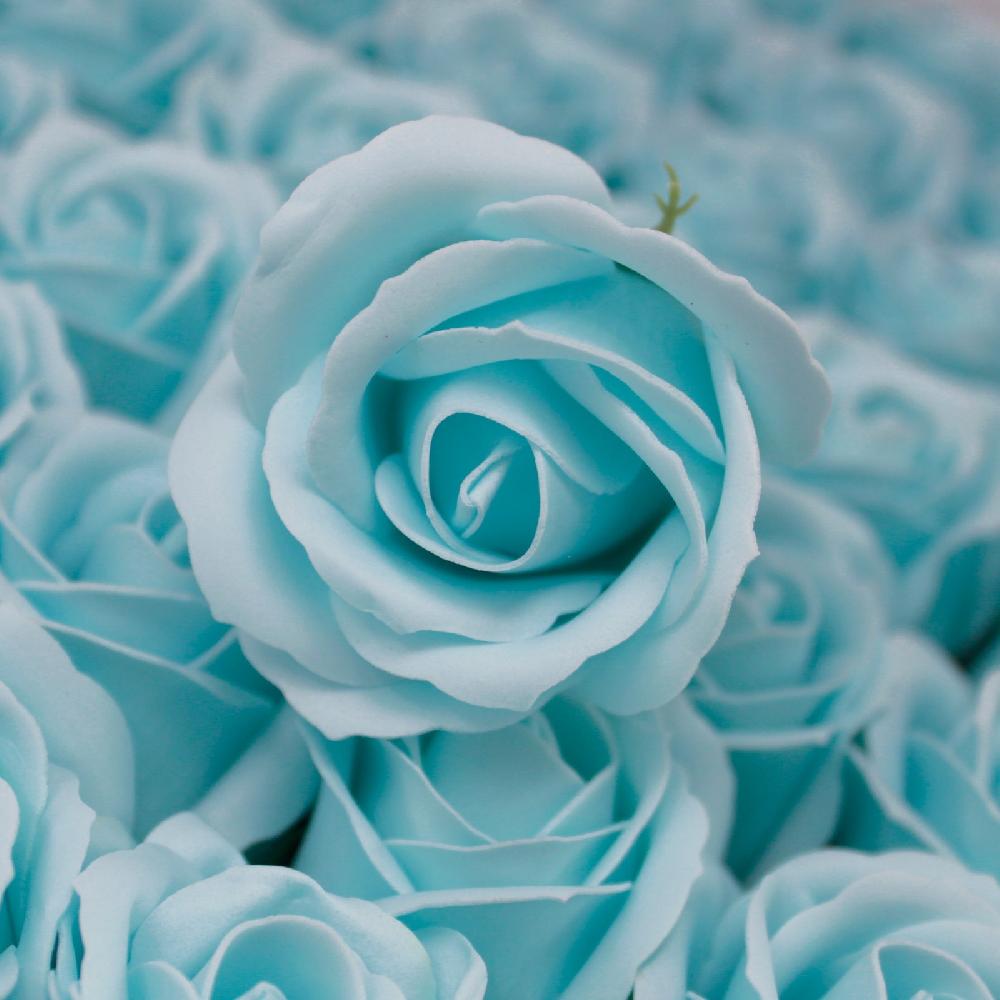 50x Craft Soap Flowers - Med Rose - Baby Blue