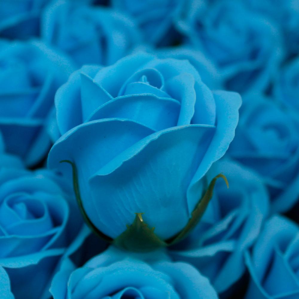 50x Craft Soap Flowers - Med Rose - Sky Blue