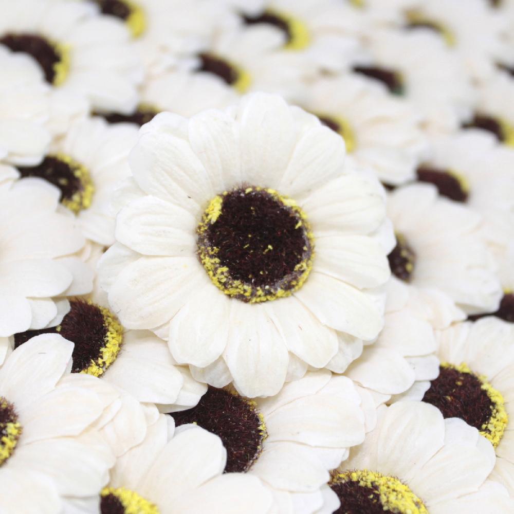 50x Craft Soap Flowers - Sml Sunflower - Ivory