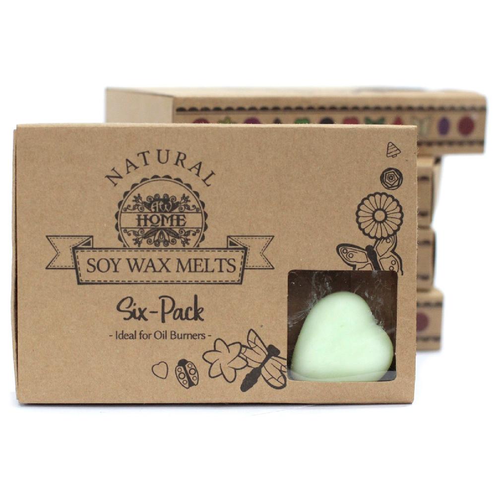 5x packs Wax Melts - Watermelon Fresh