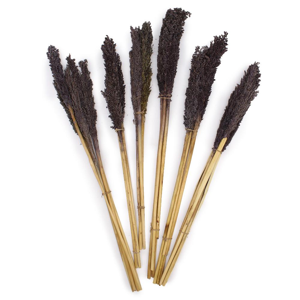 6x Cantal Grass Bunch - Black