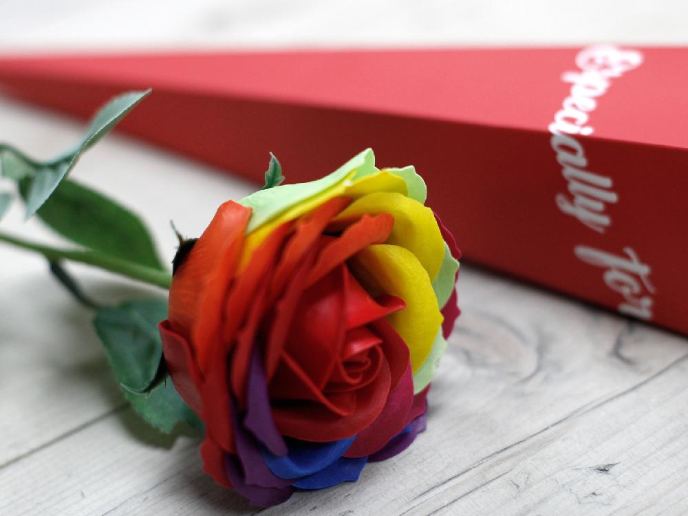 6x Luxury Soap Flower - Rainbow